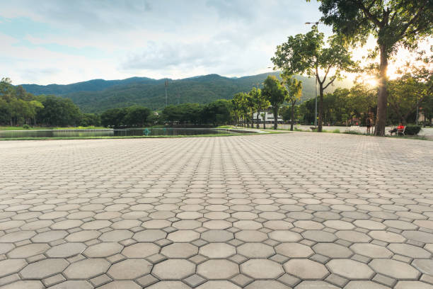Professional Driveway Pavers in Terrell, TX