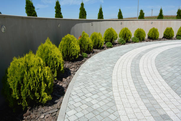 Best Local Driveway Pavers  in Terrell, TX